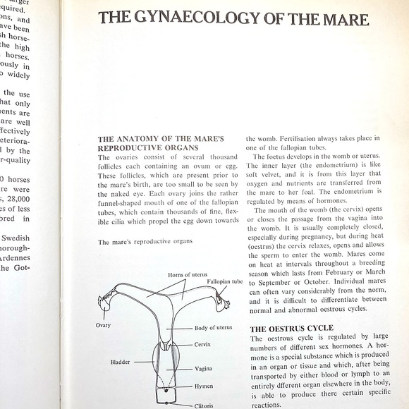 Healthy Horse Handbook Illustrated Hardcover Educational Academia - Picture 10 of 16